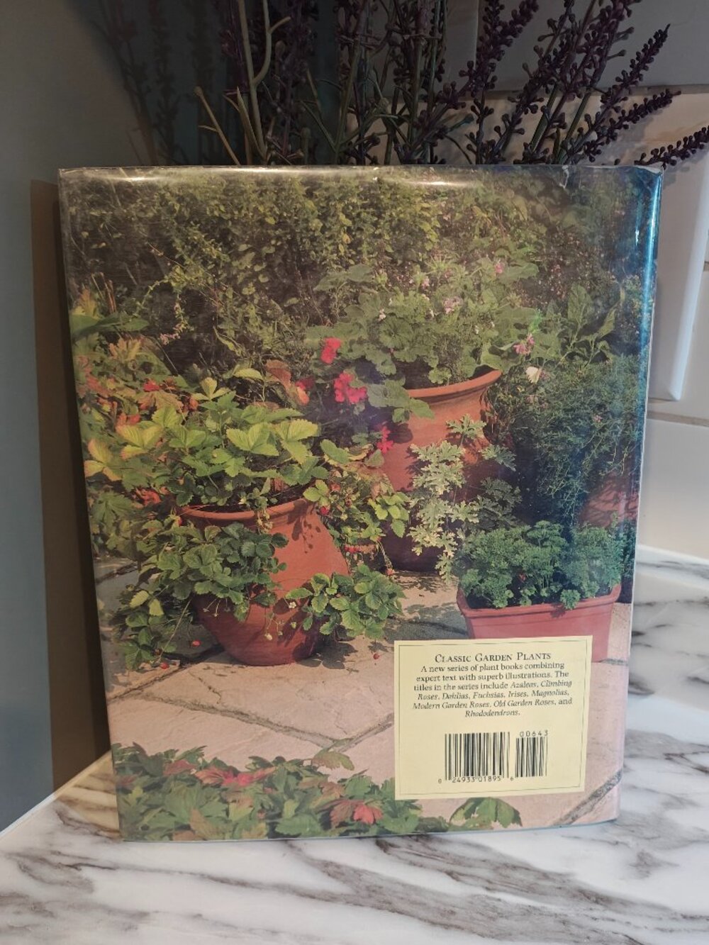 1989 Herbs Classic Garden Plants Simon Judith Hopkinson Vintage Gardening Book - Picture 5 of 7